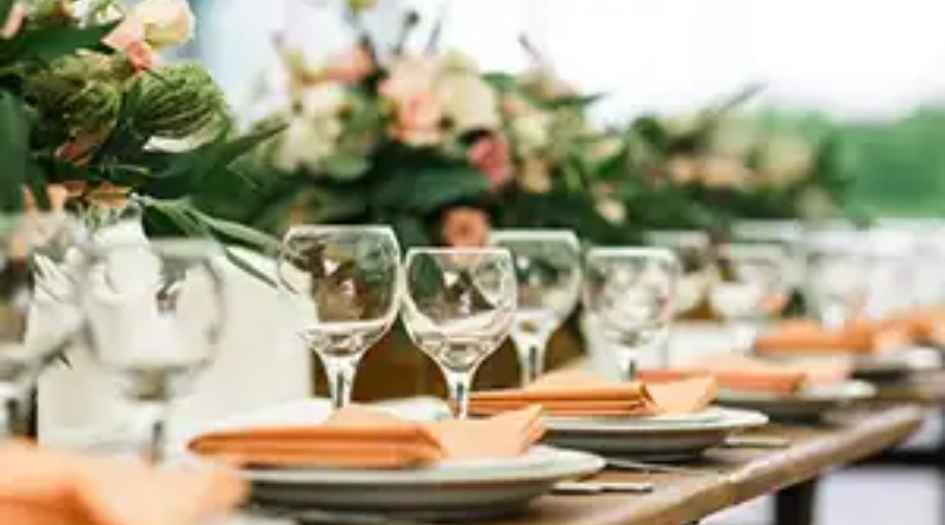 Wadhwa-MICL-Chandak-Artek-Park-party-lawn